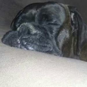 Meet your Posher, Dan